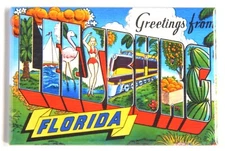 Greetings from Leesburg Florida FRIDGE MAGNET travel souvenir "style B"