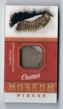 2009-10 Upper Deck Champ's Champs Museum Pieces Mini Crotalocephalus Trilobite