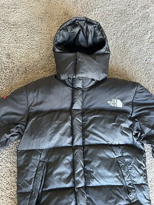 Vintage The North Face Mens Down Gore Dryloft Hooded Puffer Coat