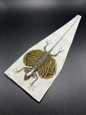 REAL YELLOW Draco Flying Lizard Draco H Female Taxidermy Indonesia Specimen