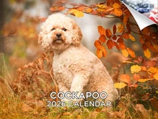 Cockapoo Dog Breed Calendar 2026 12x18 Made in USA