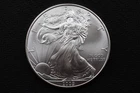 NobleSpirit (AM) 2009 American SILVER Eagle Dollar GEM BU