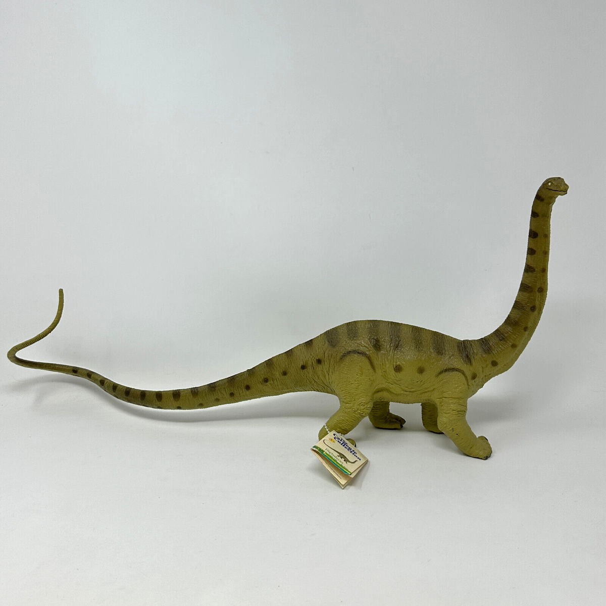 Safari LTD Dinosaur Figure Diplodocus Carnegie Museum with INFO 