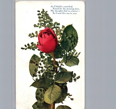 Vintage 1900s Love / Greetings Postcard RED ROSE / Poem ''As I Beheld a Rose-Bud''