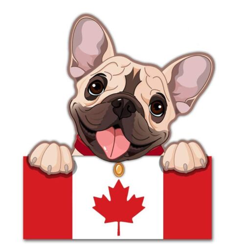 1 x Naklejka winylowa Naklejka samochodowa Naklejka Pies Pies Kanada Flaga Buldog francuski - Zdjęcie 1 z 2