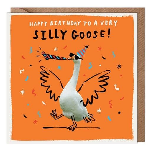 Funny Birthday Card Very Silly Goose Party - Bright Humorous Greeting Card