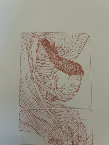 2024 Pearl Jam Fenway Park 17. September Boston Poster Krzysztof Domaradzki FEHLDRUCK! - Bild 9 von 12