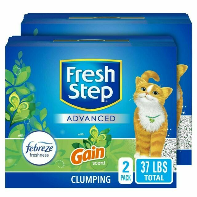 fresh step cat
