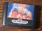 Jewel Master (Sega Genesis, 1991) LOOSE CART ONLY CLEANED, TESTED & WORKING