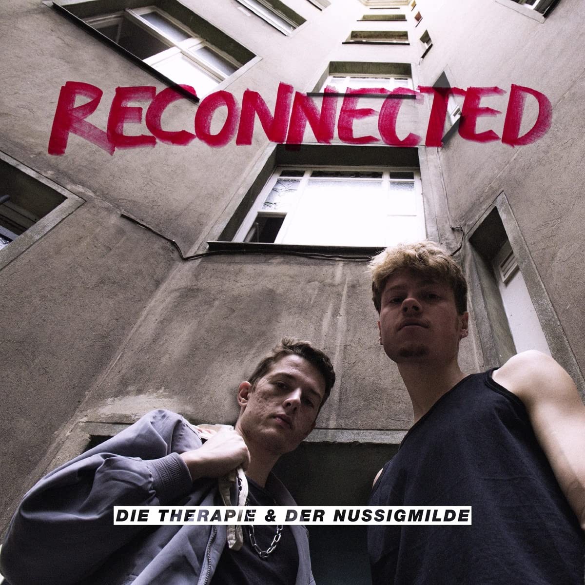 der Nussigmilde Reconnected (Vinyl LP)