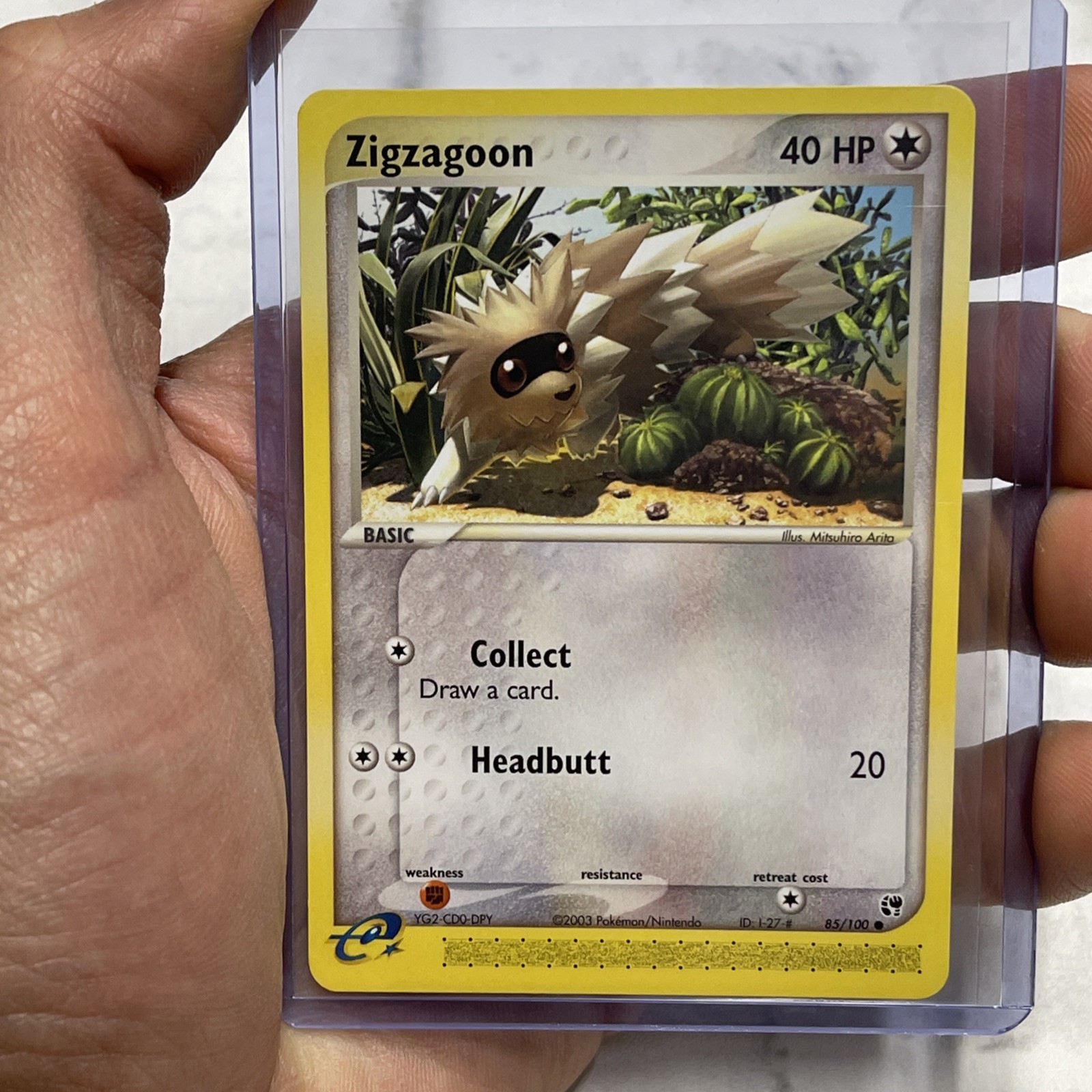 Pokémon TCG Zigzagoon EX Sandstorm 85/100 Regular Common NM/MT Vintage Card TCG