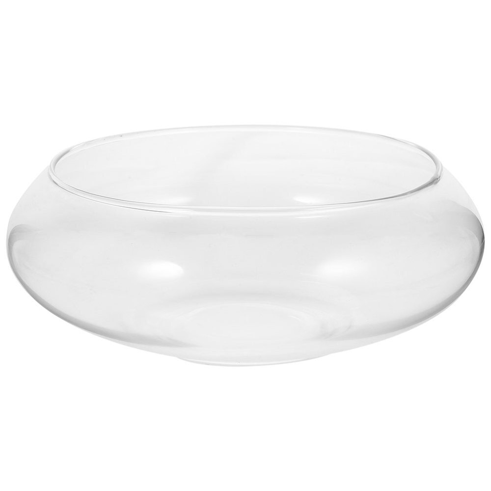 Glass Hydroponic Plant Pots for Indoor Decorative Small Flowers