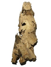 1x Oliven Wurzelholz Holz für Epoxid 120x13-33cm x 58-62mm