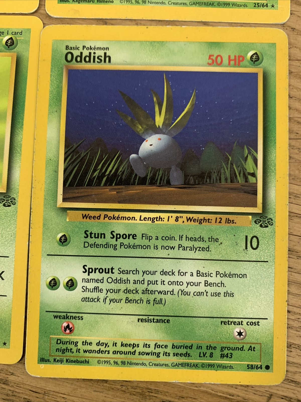 Jungle Set Pokemon Card Lot 9 Different Cards RARE WOTC LP eBay