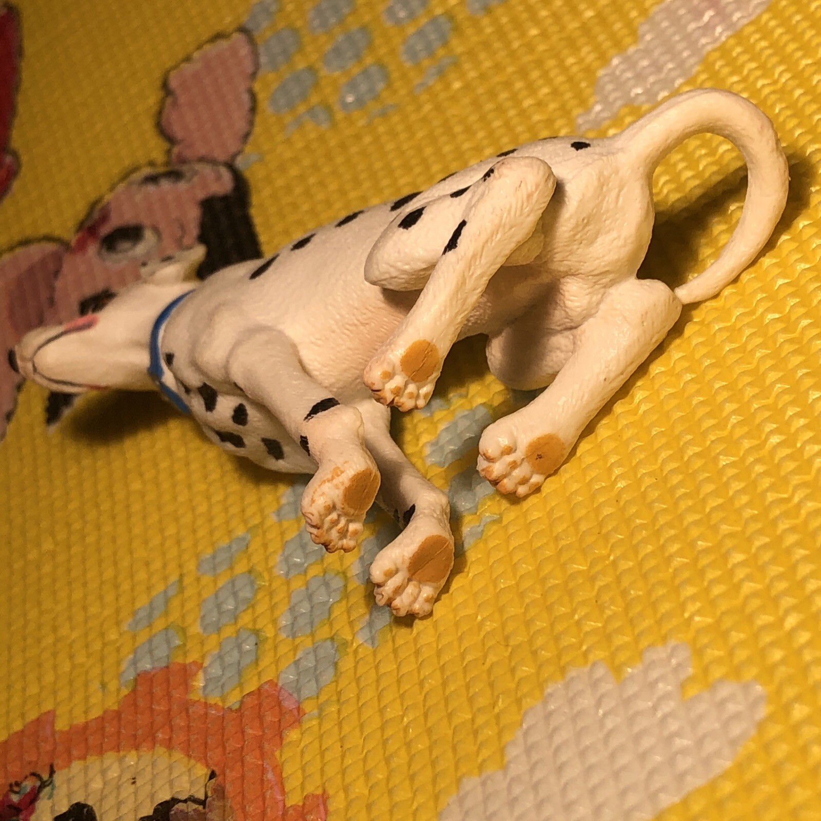 Picture 6 of 6