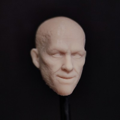 Blank 1/18 1/12 1/10 Ryan Wade 3 E Unpainted Head Sculpt fit 3.75'' 6'' 7'' Figure