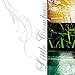 Little Compass, Discover, Audio CD
