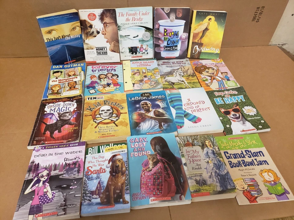 Lot of 50 Chapter INSTANT LIBRARY Children Young Adult RANDOM UNSORTED BOOKS MIX Foto 4 de 4