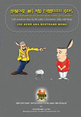 Humour, Wit And Funneeeeee Ideas: A Kind Of Humour For Those With Some Grey...