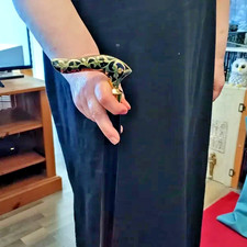 Victorian Men-Women-Old People Beautiful Hand Carved Wooden Walking Stick Cane