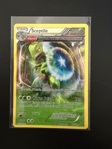 Sceptile Pokemon Card | eBay Sceptile Pokemon Card | eBay