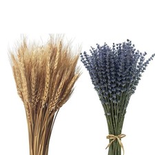 100 Stems Dried Wheat Stalks, 200 Stems Dried Lavender Bundles for Home Decor...