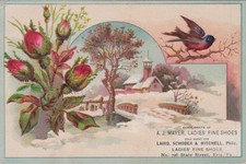 A J Mayer Ladies Fine Shoes Erie PA Laird Schober Mitchell Bird Church JQV8