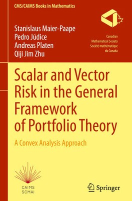 Scalar and Vector Risk in the General Framework of Portfolio Theory: A Convex