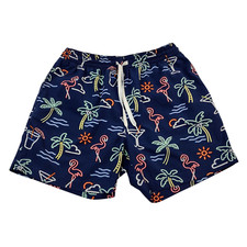 Chubbies Swim Trunks Shorts Men Medium Blue Graphic Mesh Lined 5  Inseam