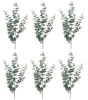 6Er Set KüNstliche Eucalyptus BläTterzweige H. 115Cm GrüN Emerald Kunstblumen