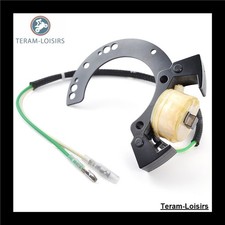 Stator Alternatore Mercury 20 HP 1997 1998 1999 2000 2001 2002 Nero NEUF