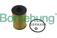 Borsehung ÖLfilter B10532 Filtereinsatz FüR VW Golf 7 5G1 BQ1 BE1 BE2 Variant T6