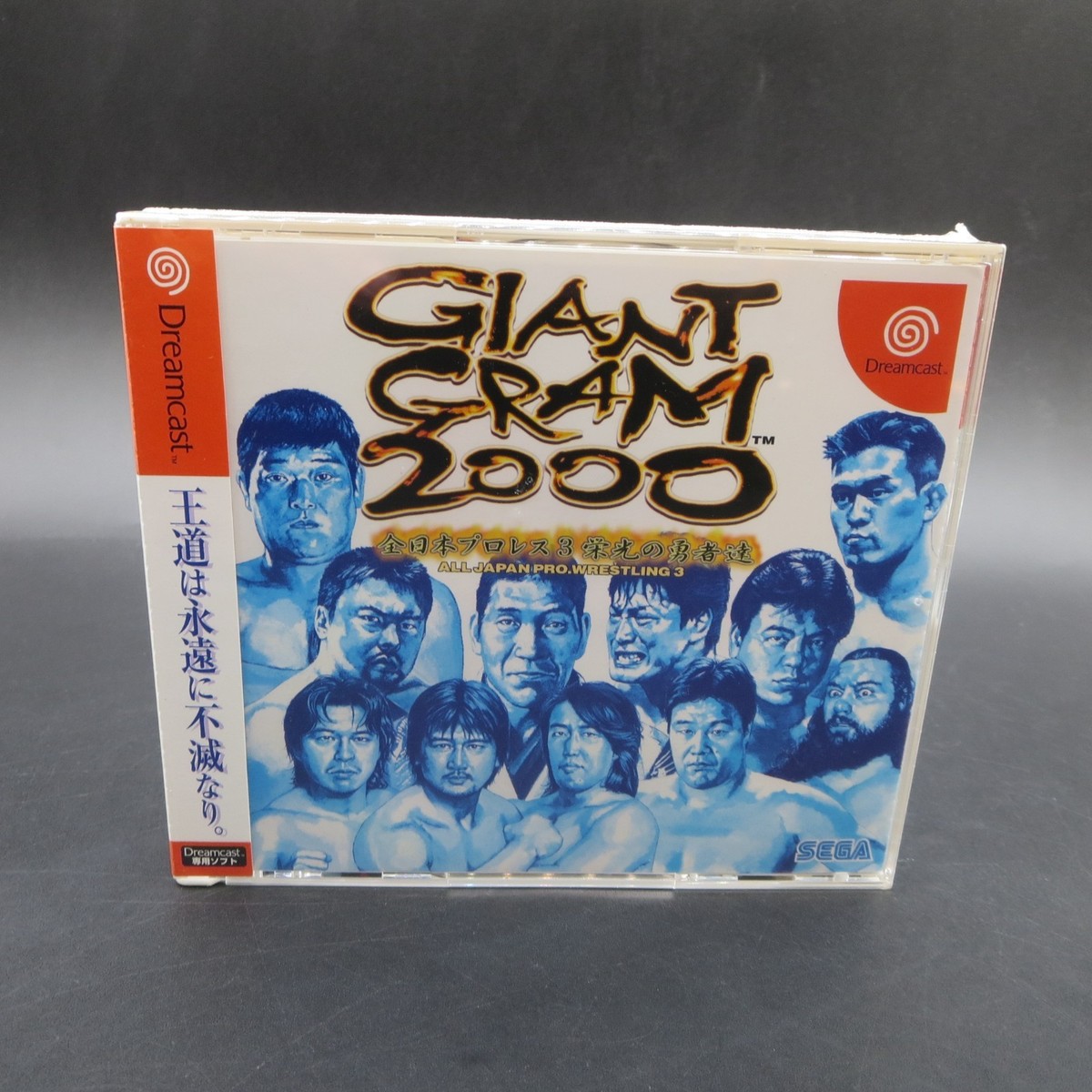 Giant Gram 2000: All Japan Pro Wrestling 3 (Sega Dreamcast, 2000