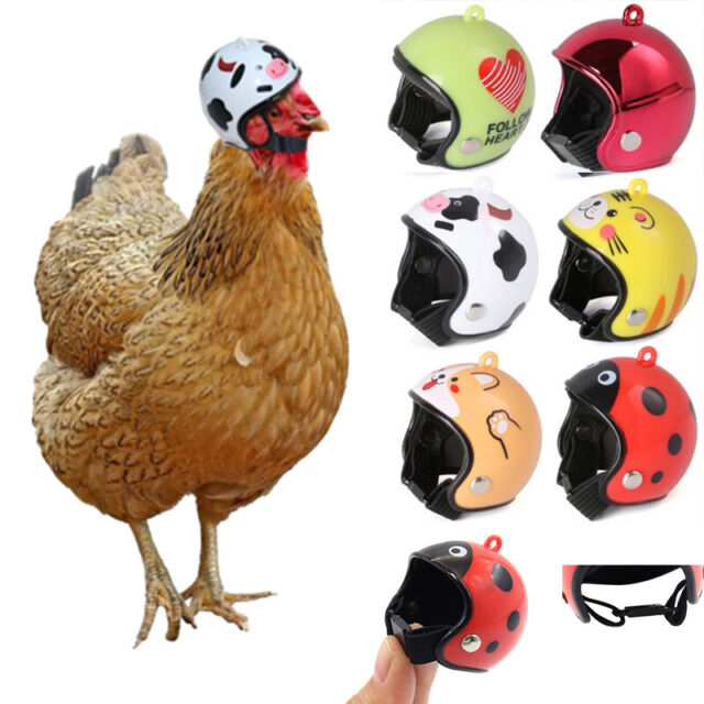 Regen Schutz Hut Huhn Helm Vogel Schutz Kappe Haustier Schutz Kopfbedeckung ⭐