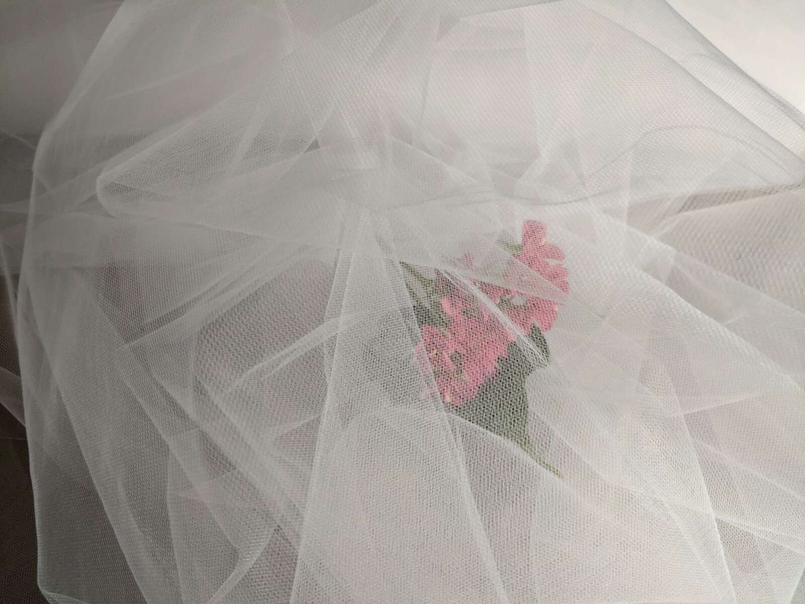 Picture 5 of 5