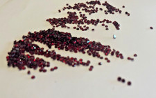 ANTIQUE LOT OF 15 PIECES 1.9- 2 MM GENUINE ROUND FLAT BACK FACETED GARNETS