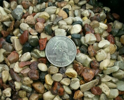  Natural Beauty -15 lbs Aquarium Fish Tank Gravel, Tiny 3/8  In Pebble  - Afbeelding 1 van 1