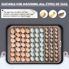 70 Egg Incubators for Hatching Eggs with Automatic Egg Turning and Egg Candler