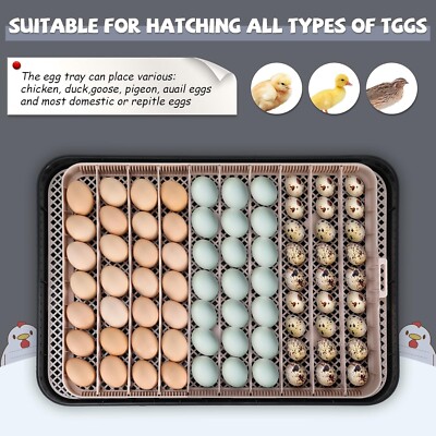 70 Egg Incubators for Hatching Eggs with Automatic Egg Turning and Egg Candler 