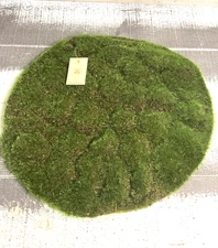 Mossy Mat For Fairy Garden; Crafts , Decor  16" Wide