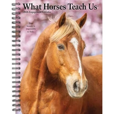 Willow Creek Press,  What Horses Teach Us 2026 Engagement Planner, 7'' X 8.66'',