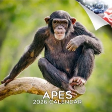 Apes Calendar 2026 FULL SIZE 12x24 Made in USA