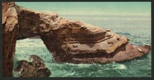 8" x 10" 1898 Photo Alligator Head, La Jolla Location: California, La Jolla,
