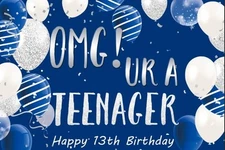 OMG UR a Teenager 13th Birthday Banner, Blue Silver Photography Background, H...