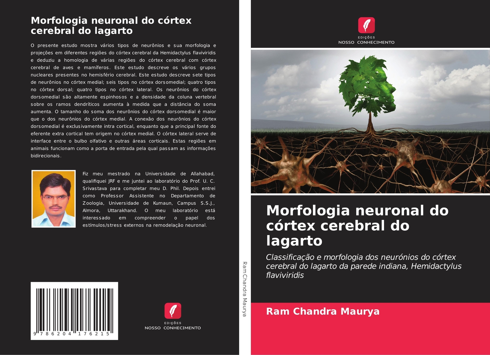 Thumbnail - Morfologia Neuronal Do Córtex Cerebral Do Lagarto Ram Chandra Maurya