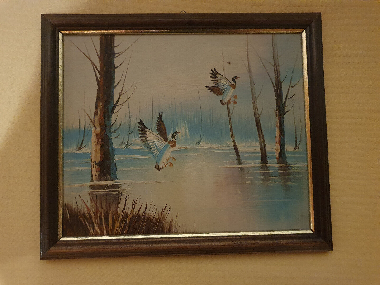 Bild 1 von 1