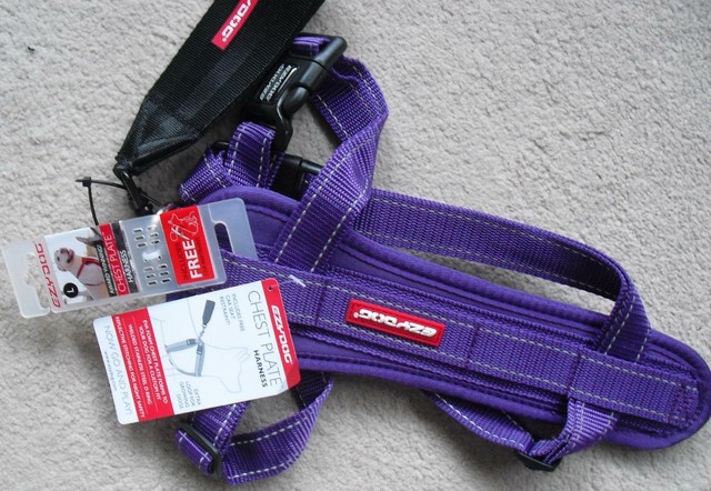ezydog harness purple