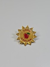 Lake Chelan Travel Souvenir Lapel Pin Washing...