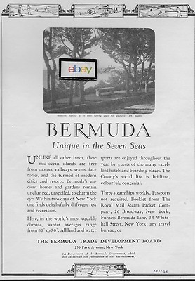 Bermuda Handel Development Brett 1928 Einzigartig IN 7 Seas Hamilton Hafen Ad