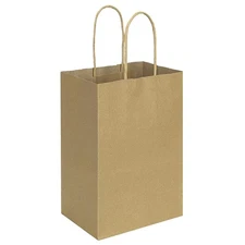 bagmad 100 Pack 5.25x3.25x8 Inch Brown Small Paper Bags with Handles Bulk Gif...